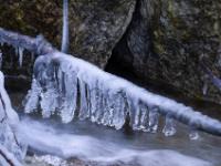 Lange Eiszapfenreihe an querliegendem Ast über dem Lochgrabenbach